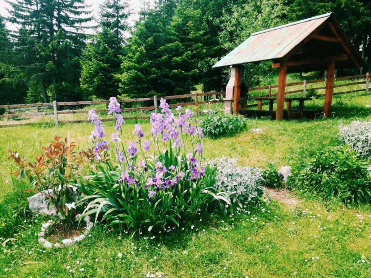 Sibalic Apartmani Žabljak Kültér fotó